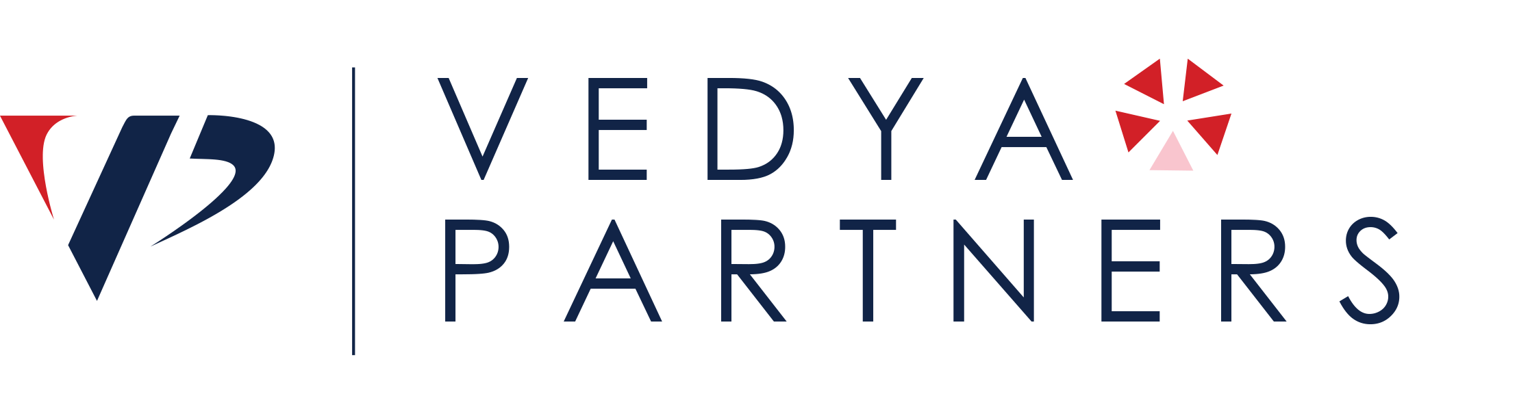 Vedya Partners